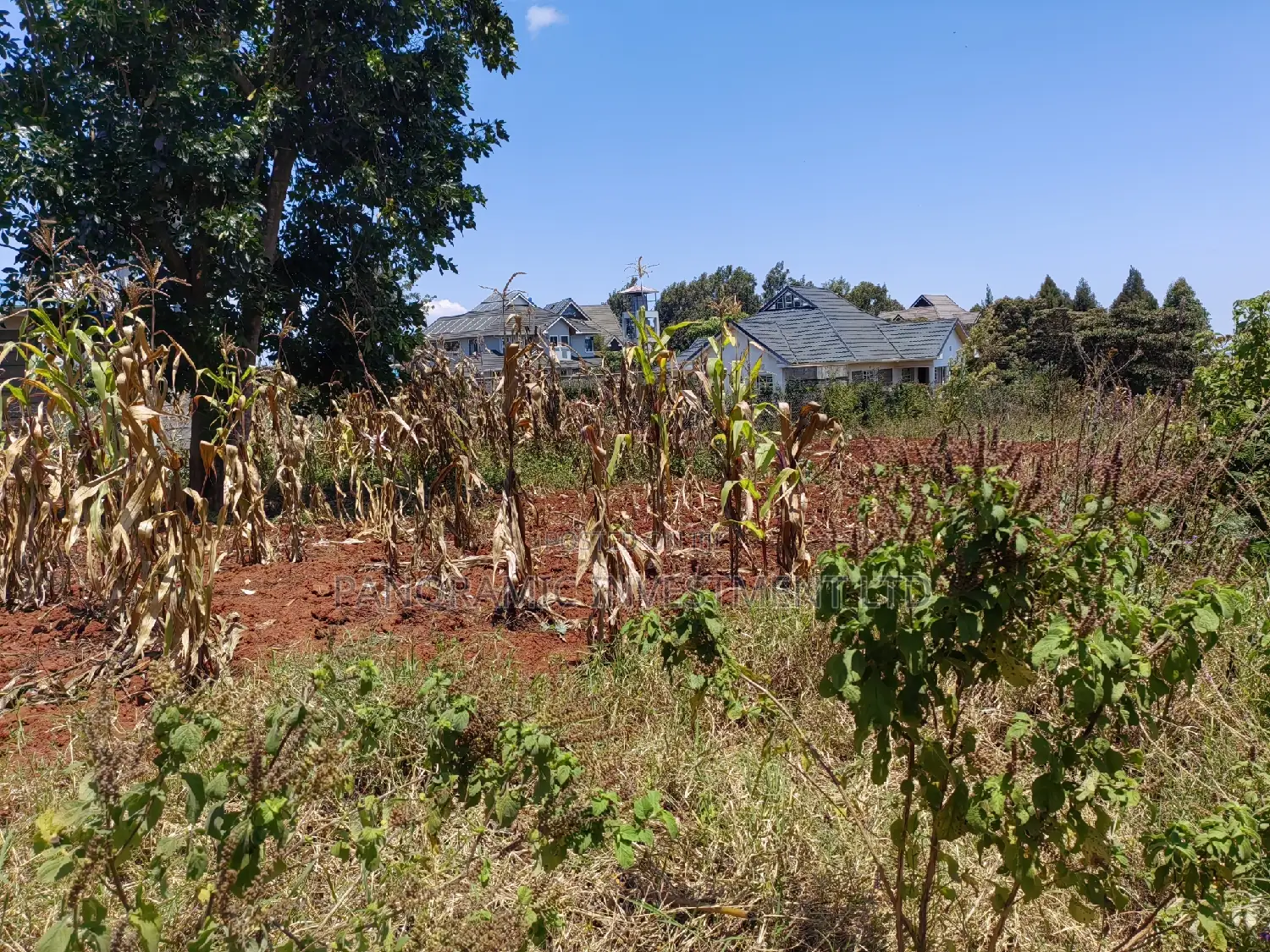 Quarter Acre for Sale in Gikambura Kikuyu Kiambu County for Sale. in Kikuyu