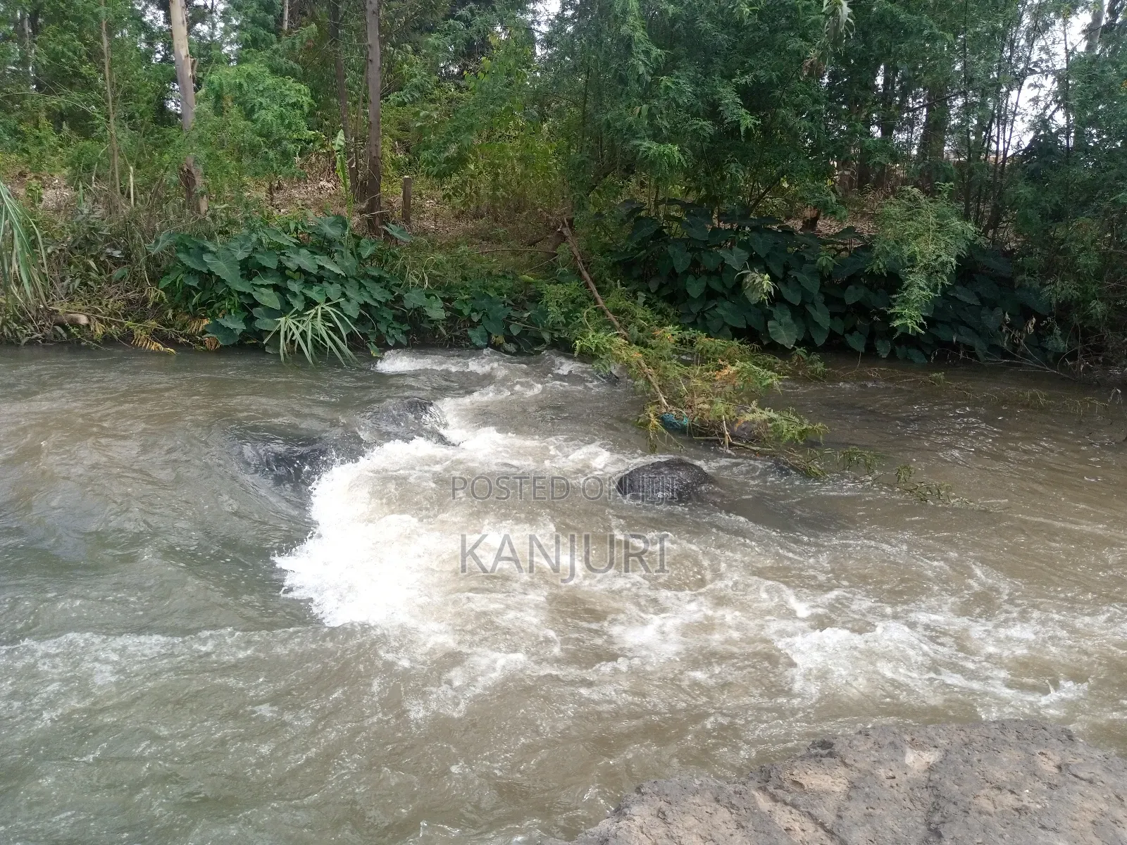 Fertile Land Ruiru in Ruiru