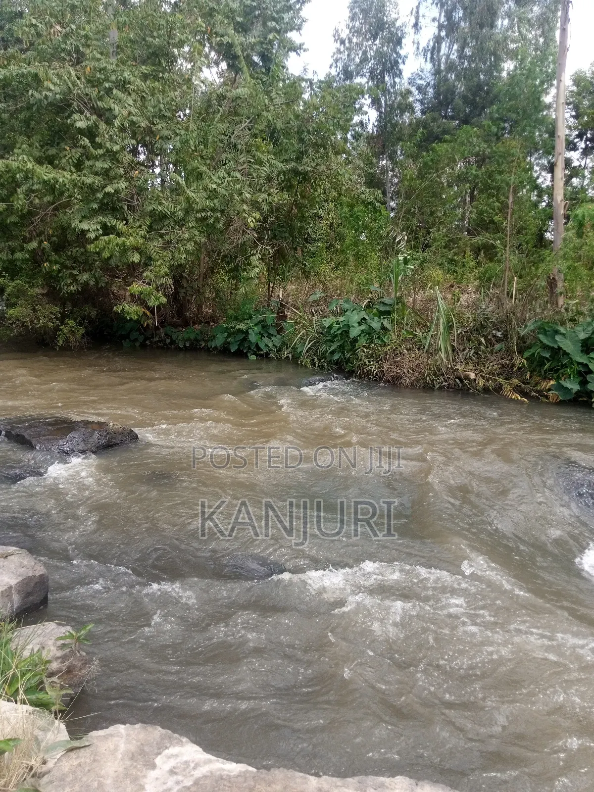 Fertile Land Ruiru in Ruiru