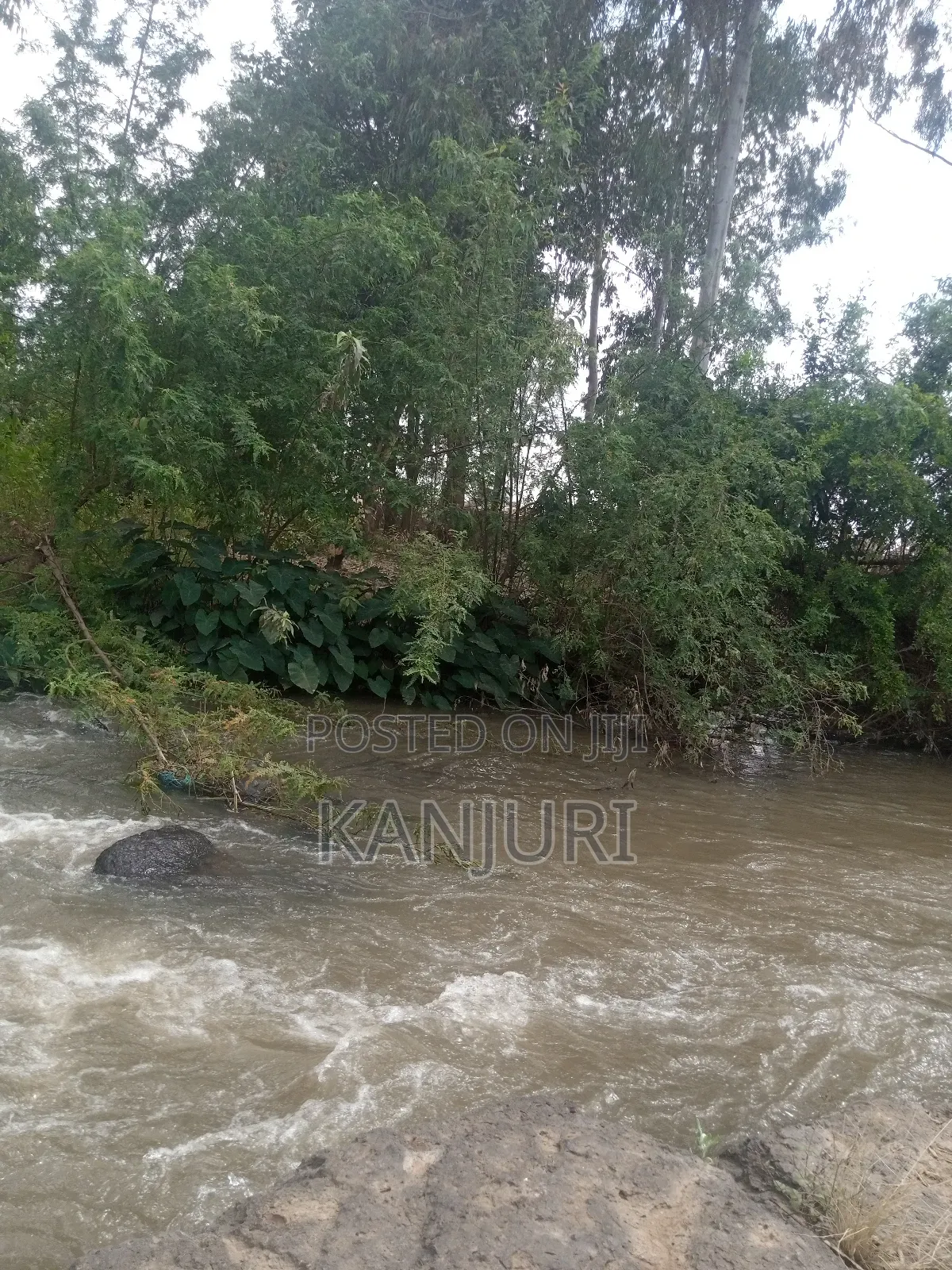 Fertile Land Ruiru in Ruiru