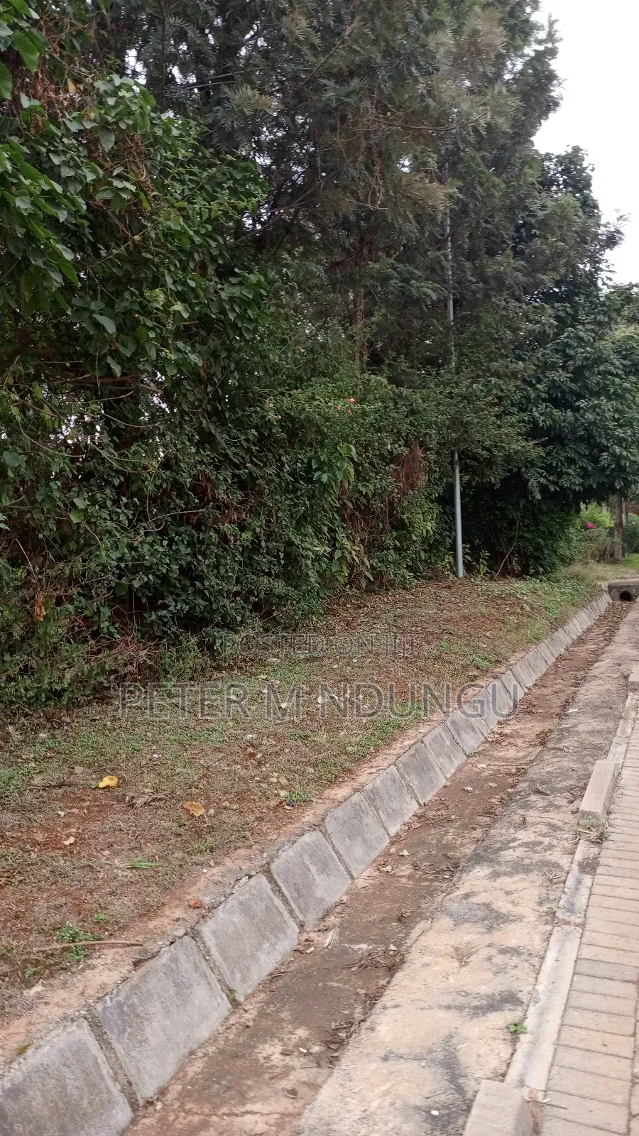 Thome Dream Home: Residential Plot on Sale in Thome
