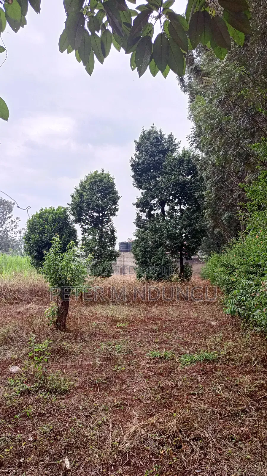 Thome Dream Home: Residential Plot on Sale in Thome