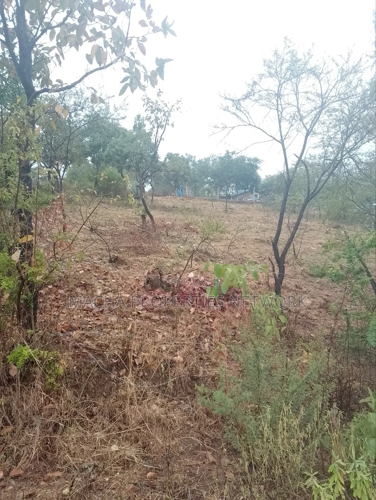 Plot 70 By 100 Ft. in Machakos Town