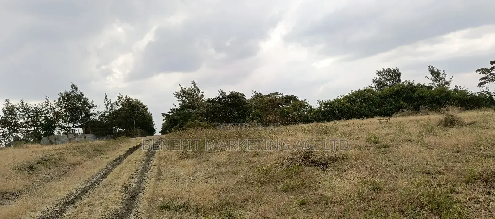 Eigth Acre Plots for Sale in Kiserian, Oloirien. in Ngong