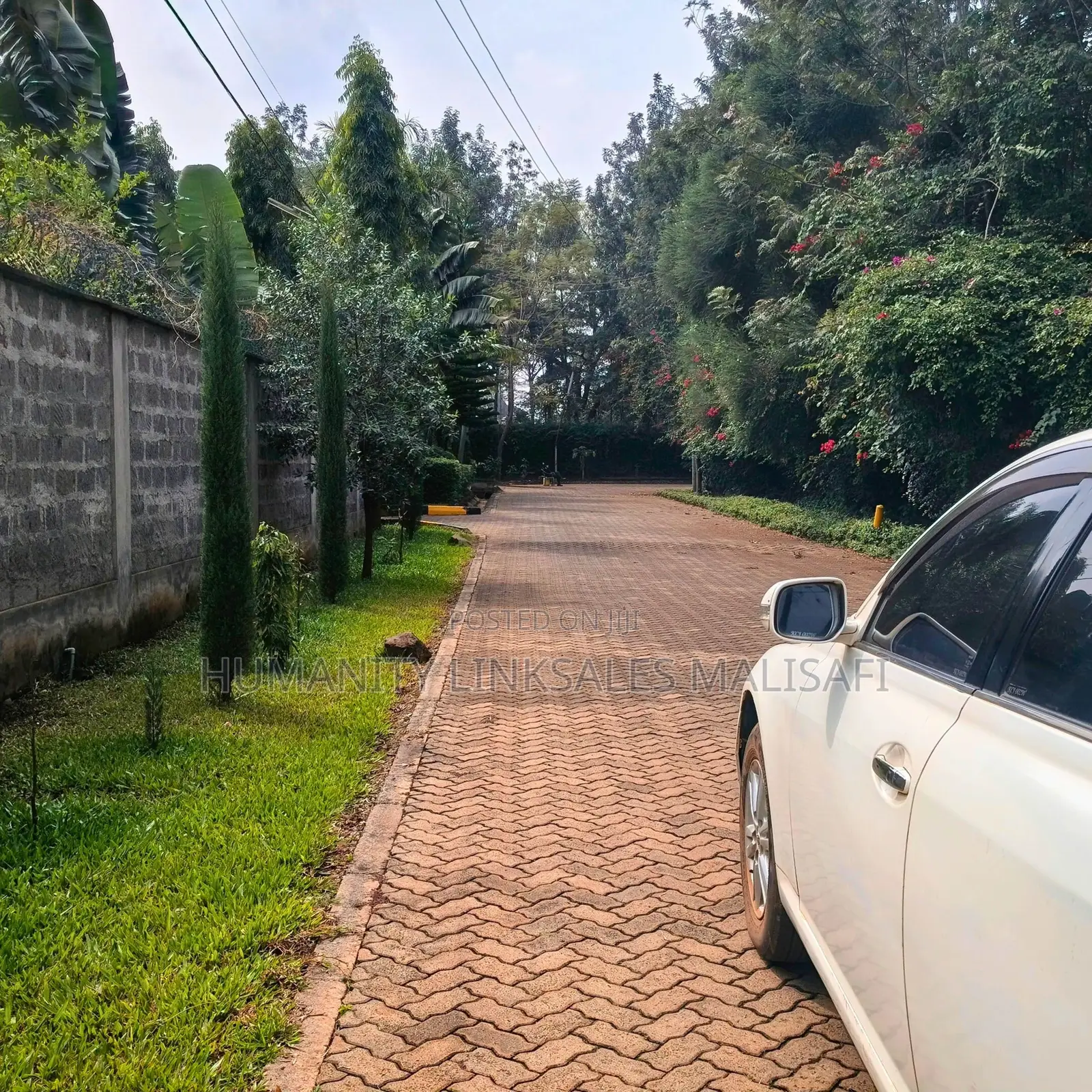Prime 1/2 Acre Land For Investment –Near Safari Park Area in Roysambu