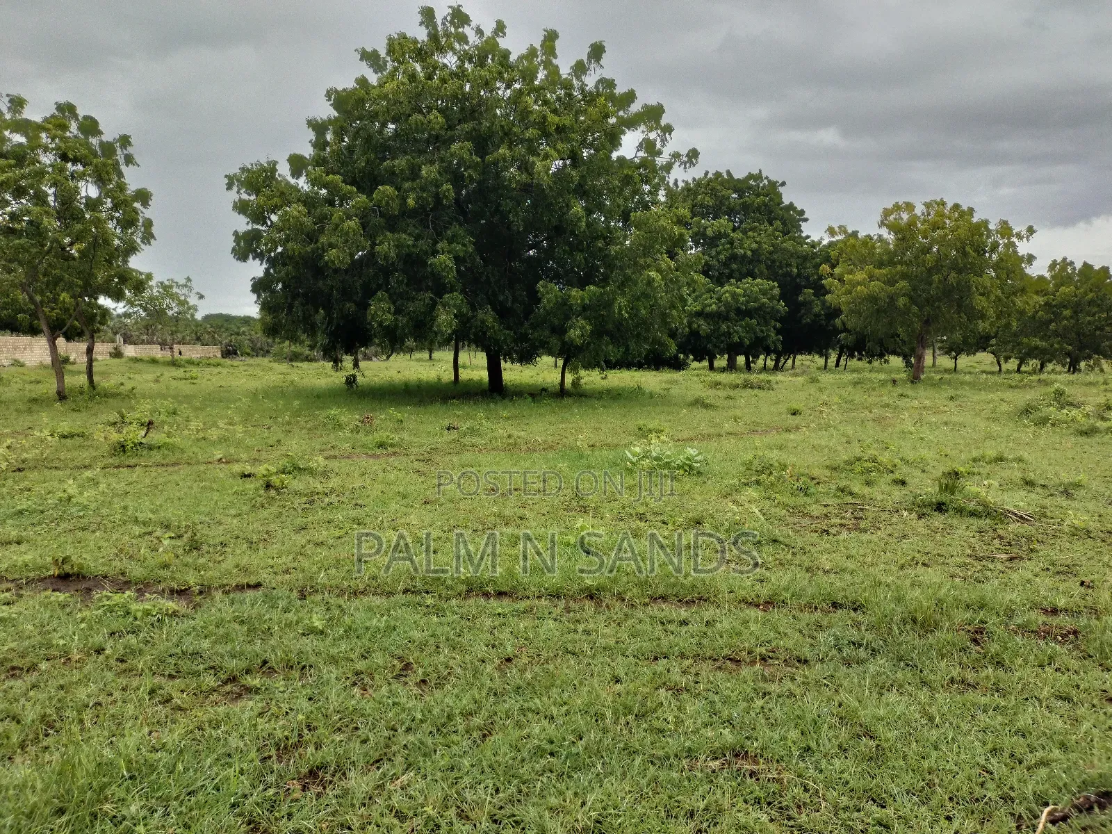 Galu Kinondo 3 Acres on Sale in Diani