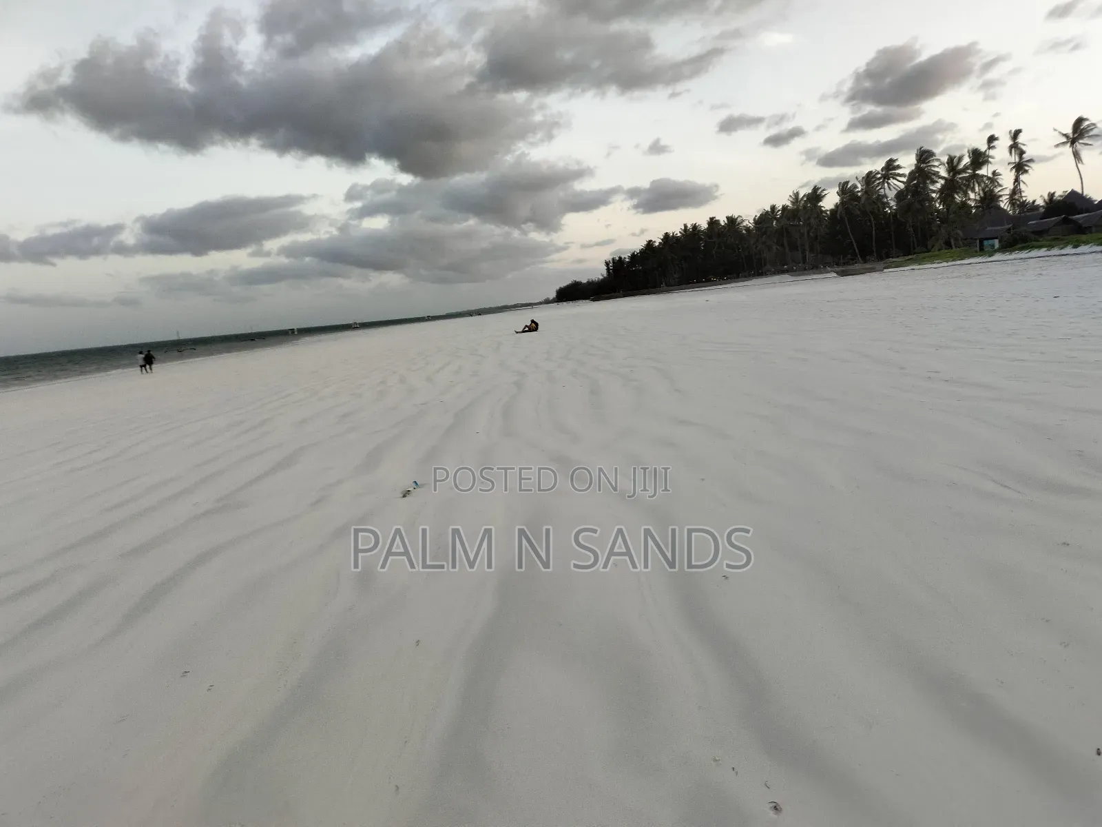 Galu Kinondo 3 Acres on Sale in Diani