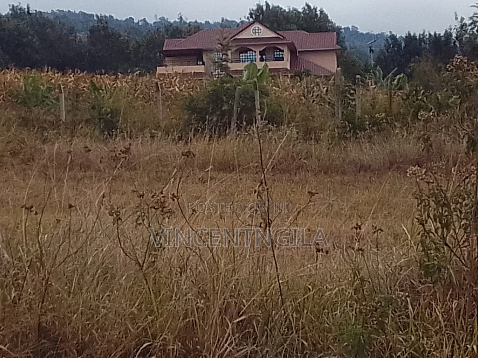 Mua Hills 10 Acres in Mua Hills