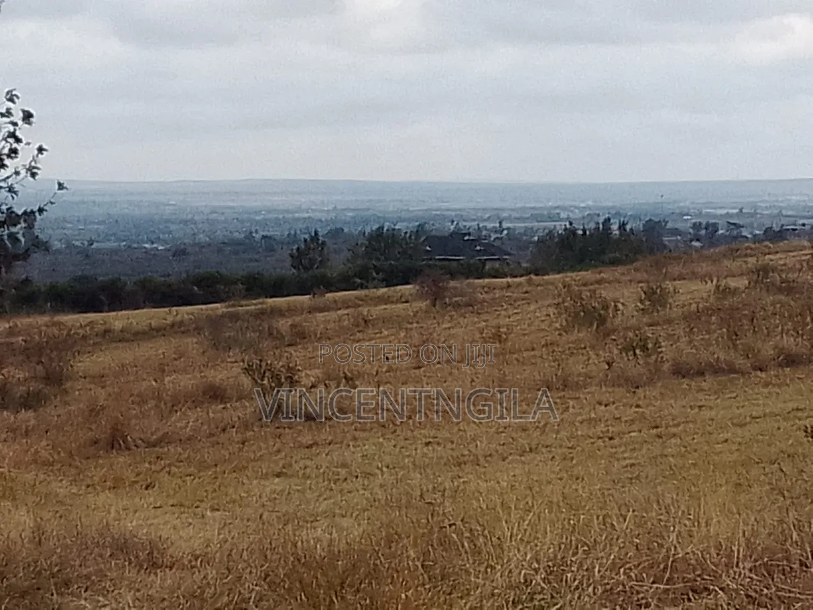 Mua Hills 10 Acres in Mua Hills