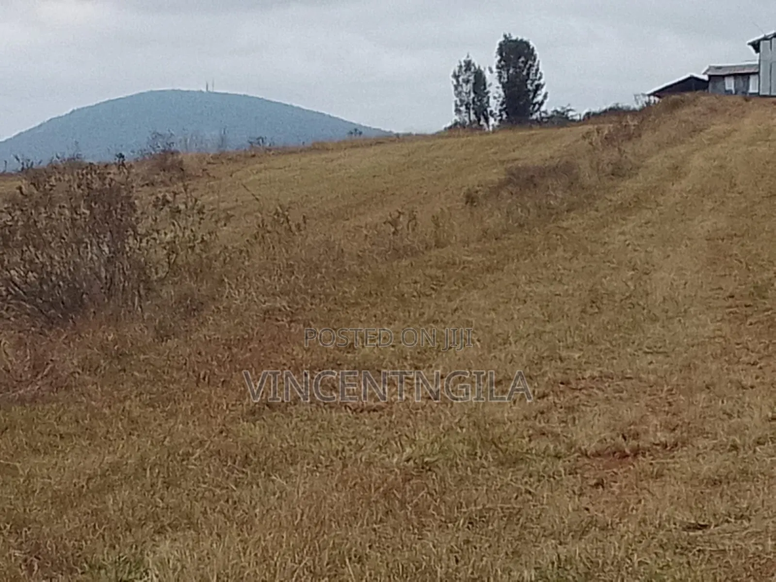 Mua Hills 10 Acres in Mua Hills