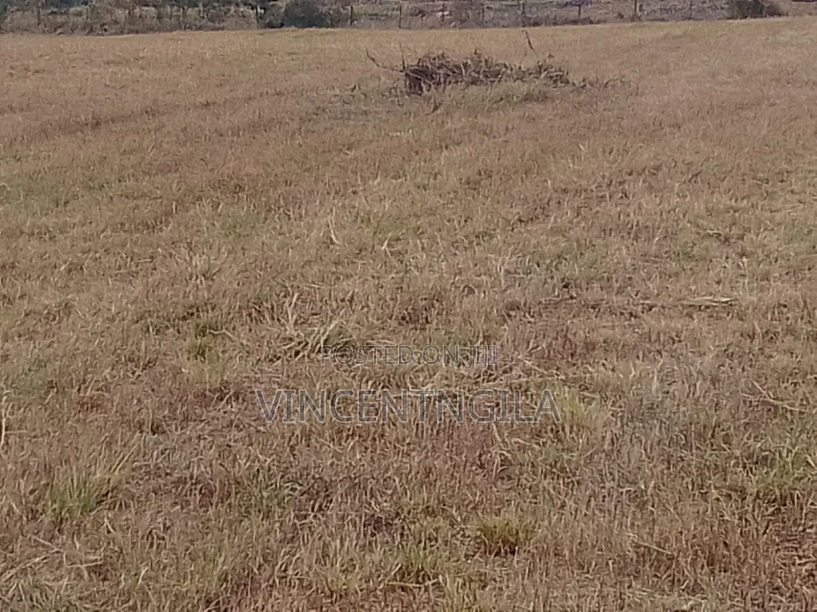 Mua Hills 10 Acres in Mua Hills