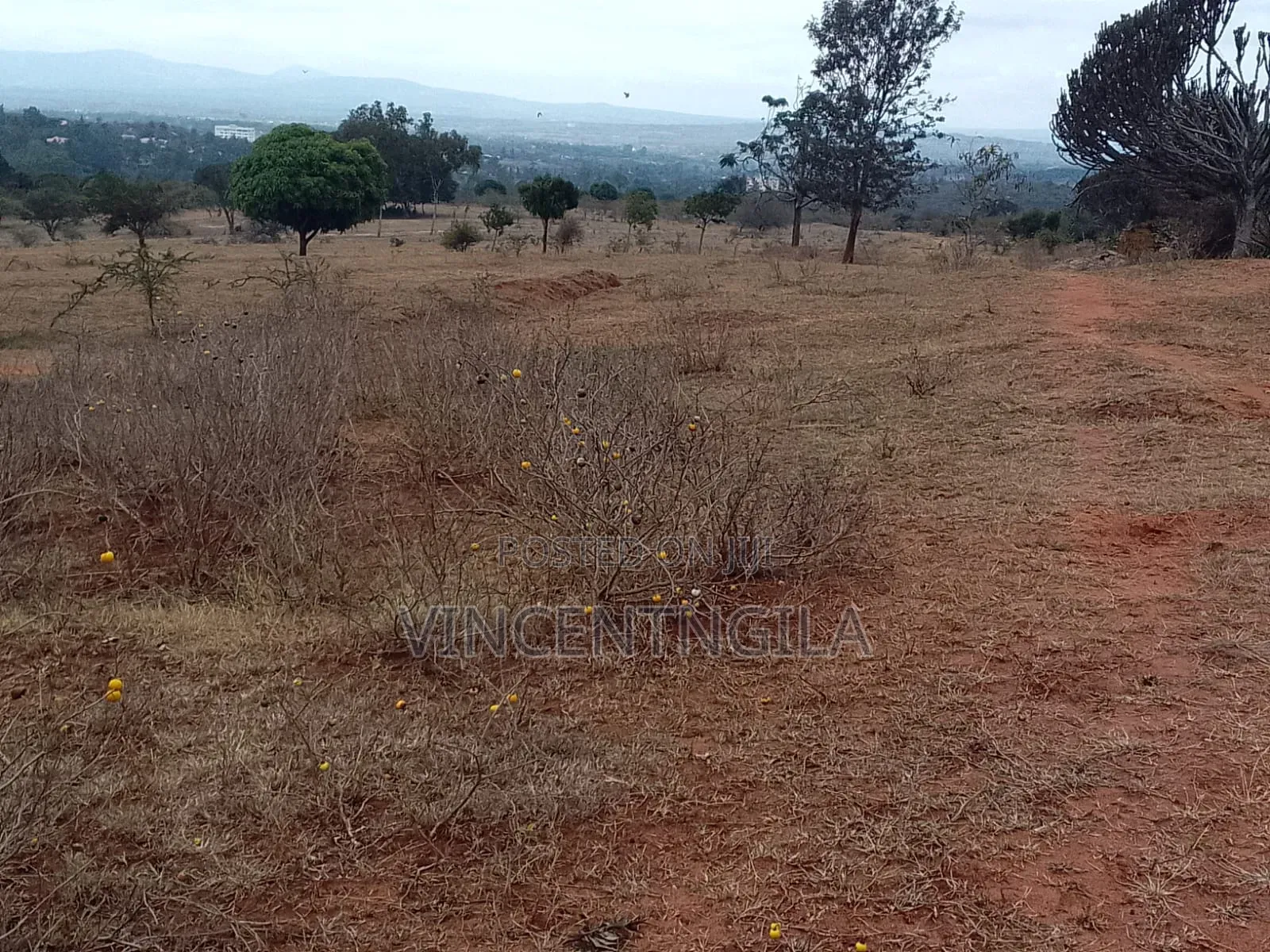 Mua Hills, Machakos 30 Acres in Mua Hills
