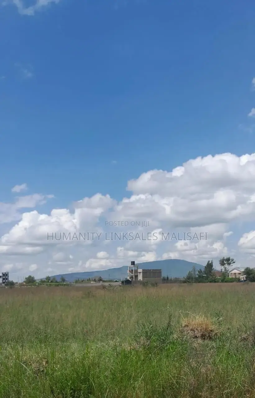 Thika Landless 100 by 100 Land Plot, (1/4 Acre) Invest in Your Future. in Happy Valley Estate