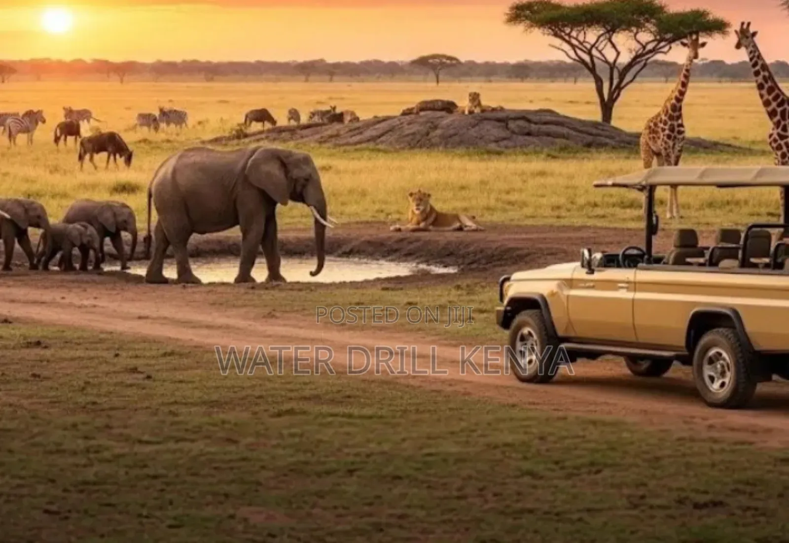 Buy Land 252 Kenya in Loitoktok