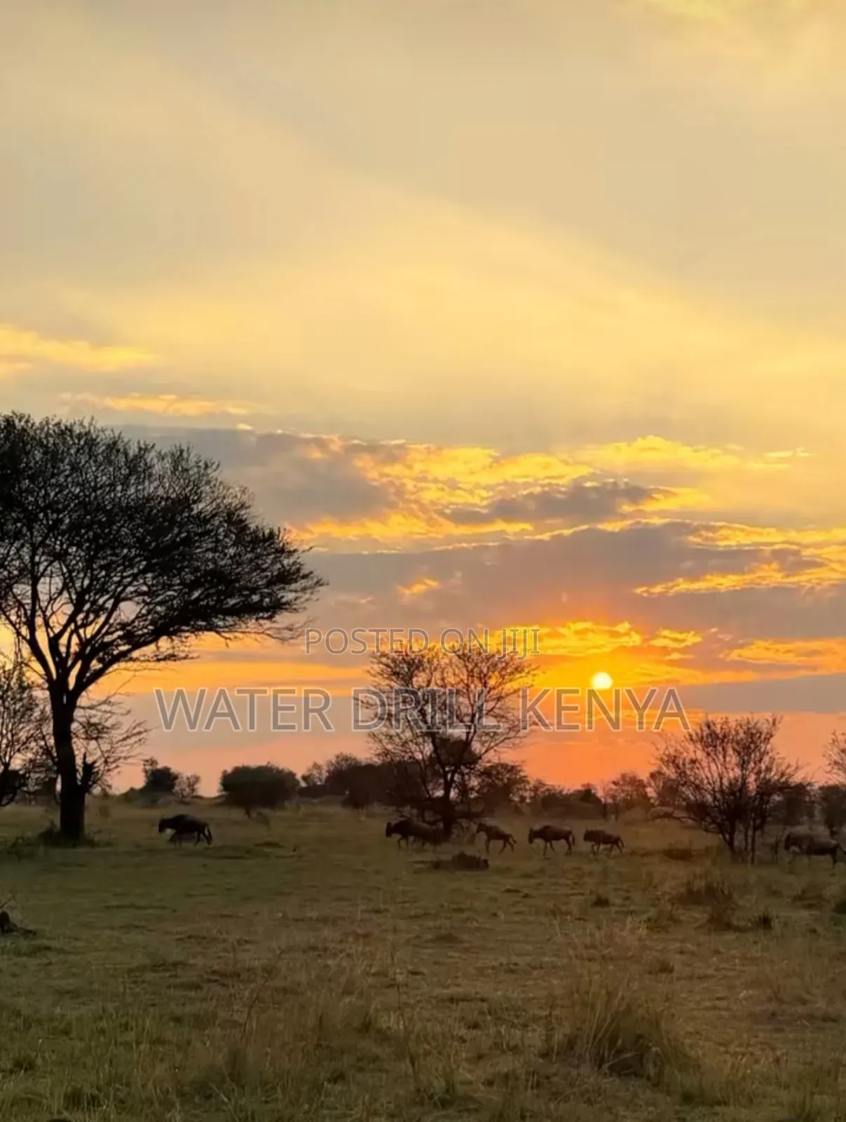 Buy Land 252 Kenya in Loitoktok