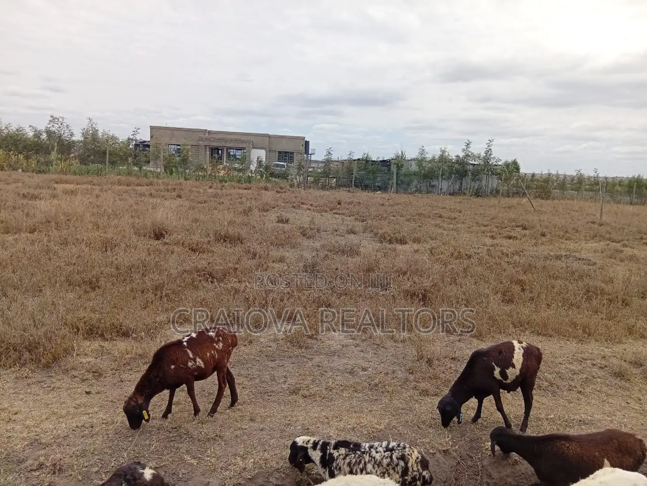 1/4 Acre for Sale in Kisaju in Kisaju