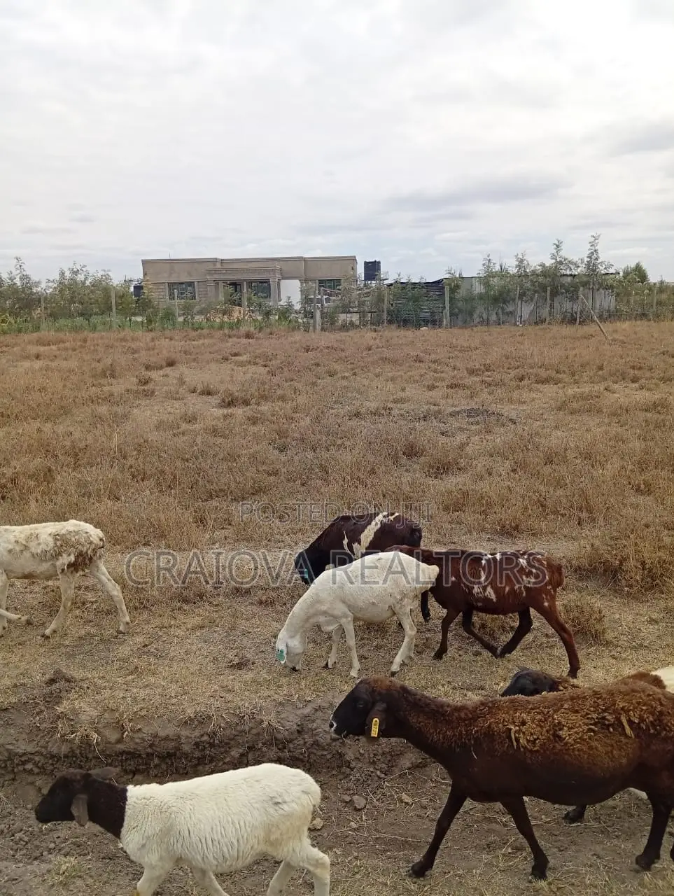 1/4 Acre for Sale in Kisaju in Kisaju