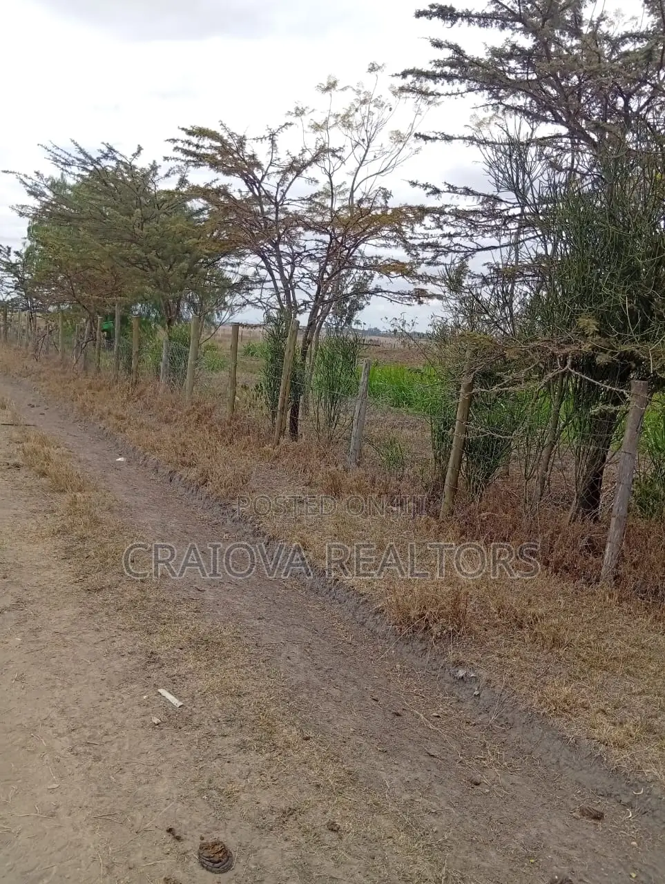 1/4 Acre for Sale in Kisaju in Kisaju