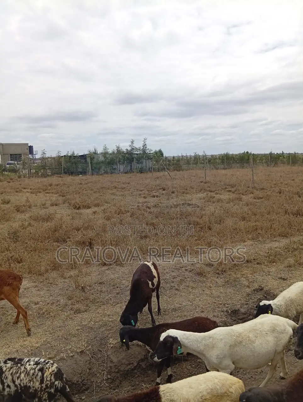 0.25 Acre Piece of Land in Kisaju in Kisaju