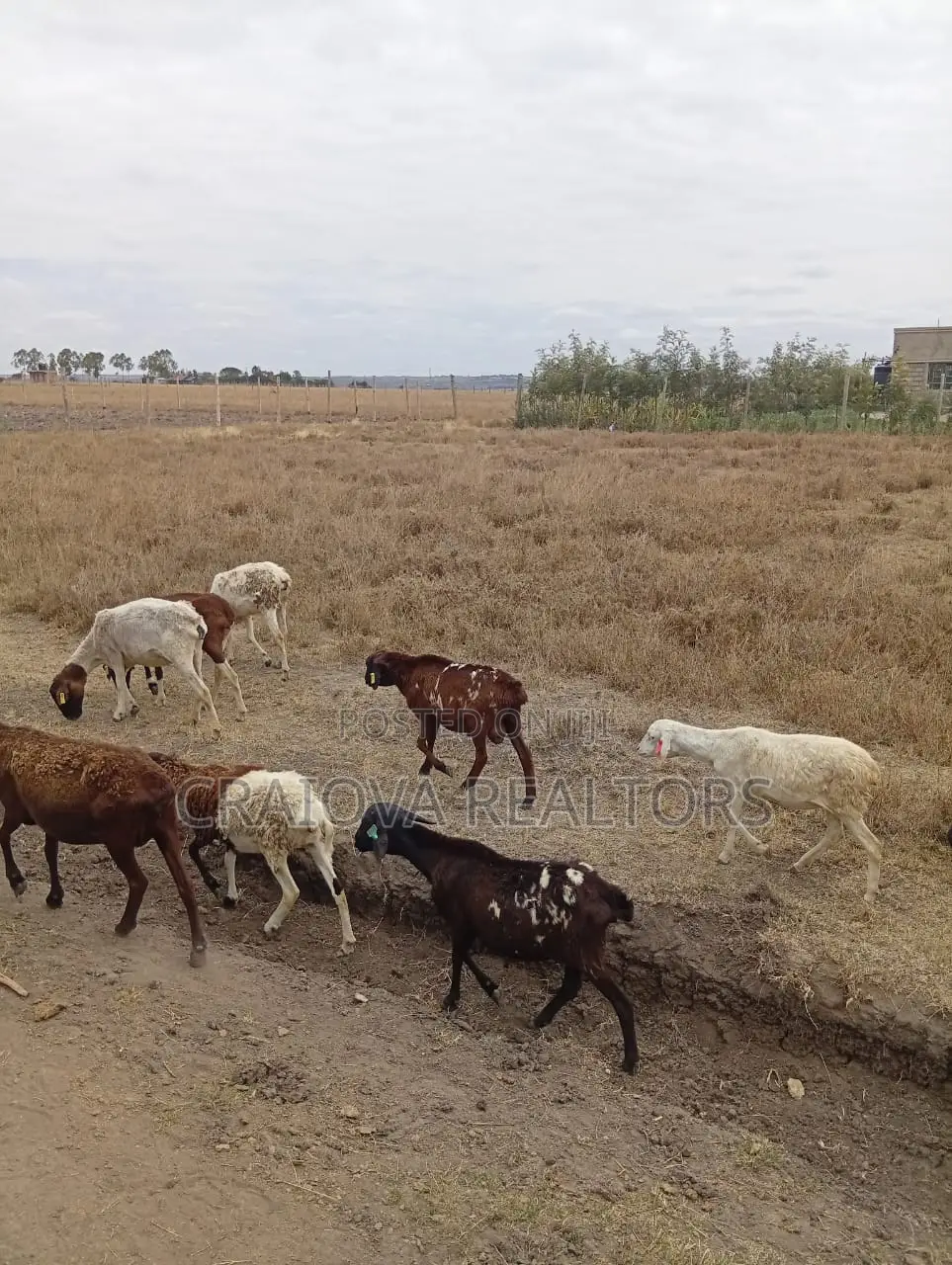 0.25 Acre Piece of Land in Kisaju in Kisaju