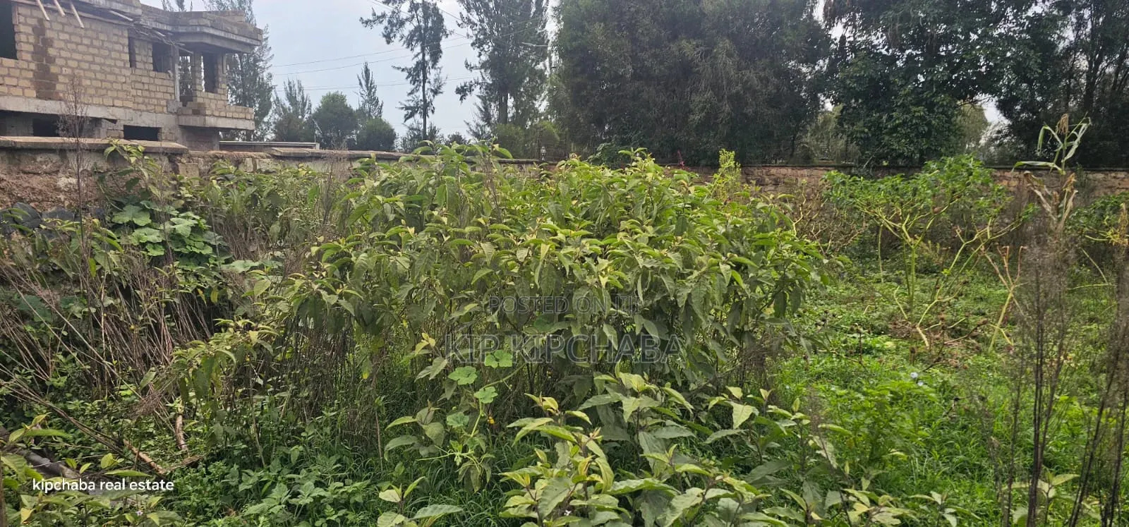 1⁄2 Acre Plot for Sale in Elgonview Eldoret in Elgon View
