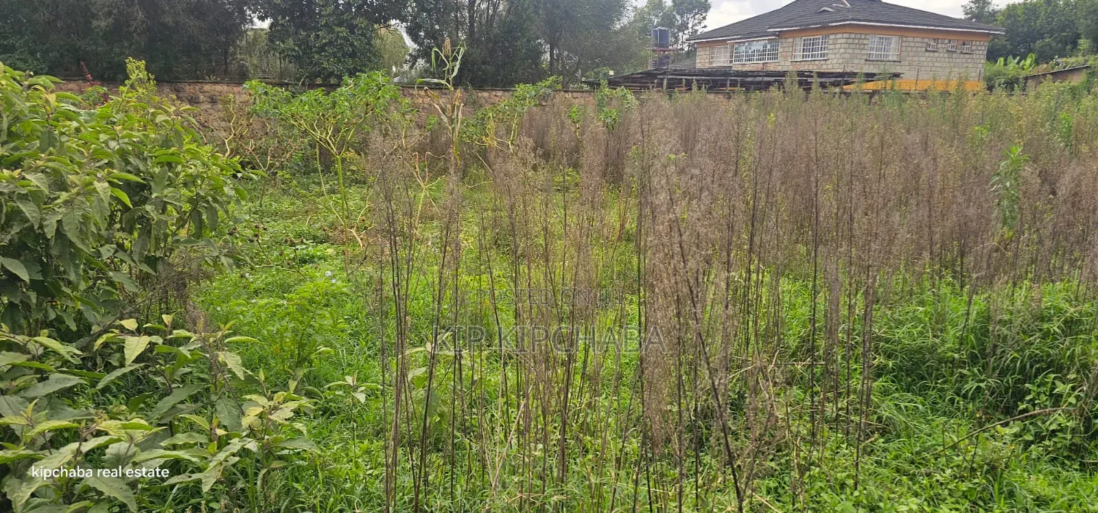 1⁄2 Acre Plot for Sale in Elgonview Eldoret in Elgon View