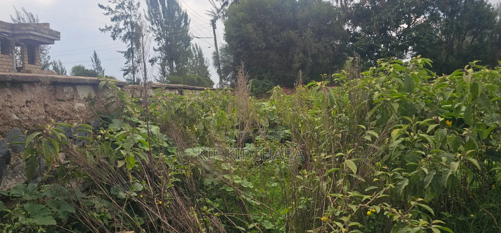 1⁄2 Acre Plot for Sale in Elgonview Eldoret in Elgon View