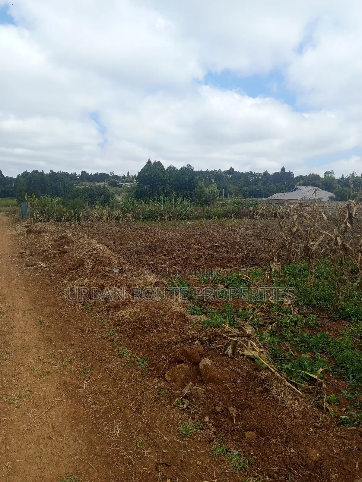 100*100 Plot for Sale in Thogoto