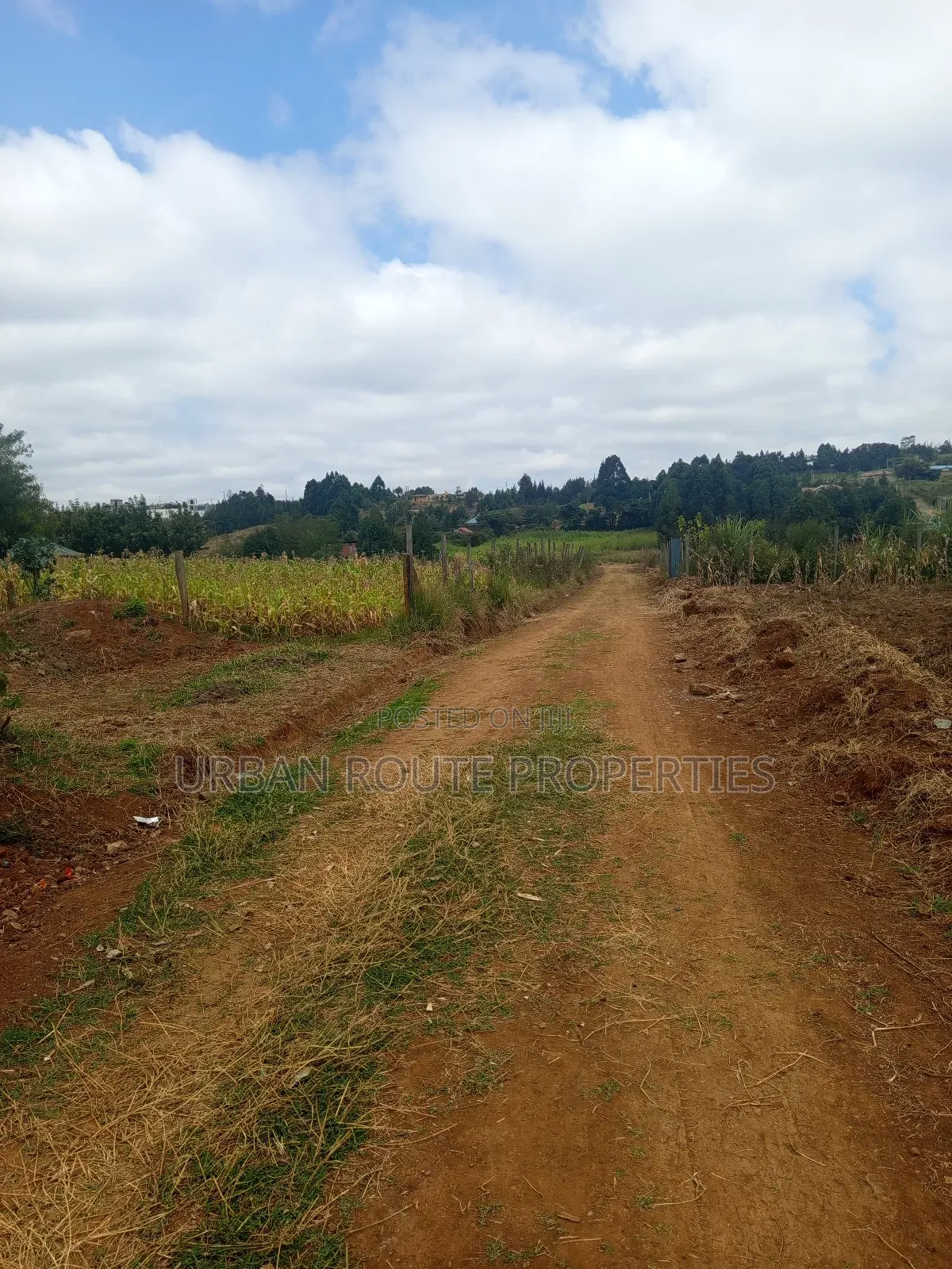 100*100 Plot for Sale in Thogoto