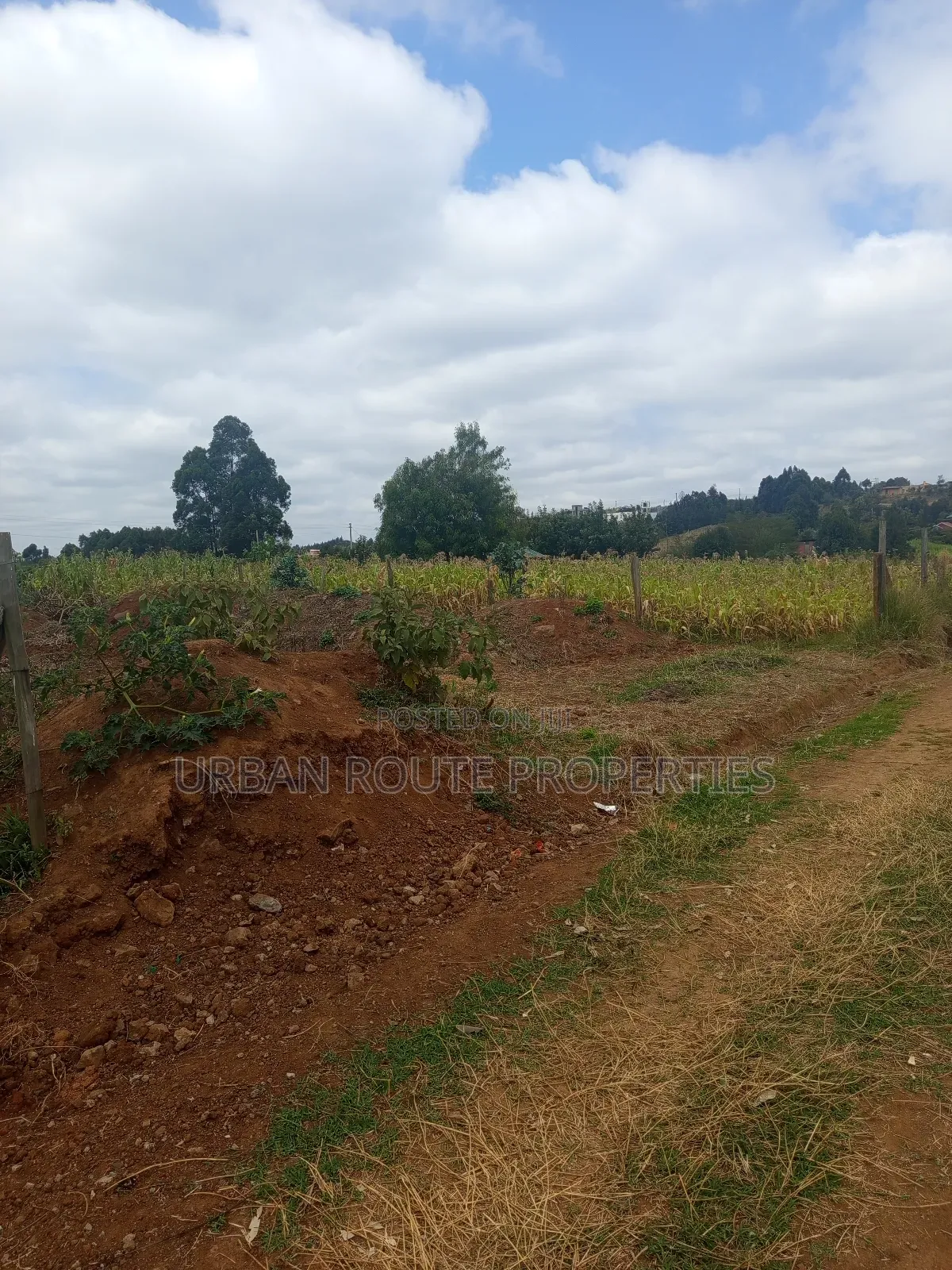 100*100 Plot for Sale in Thogoto