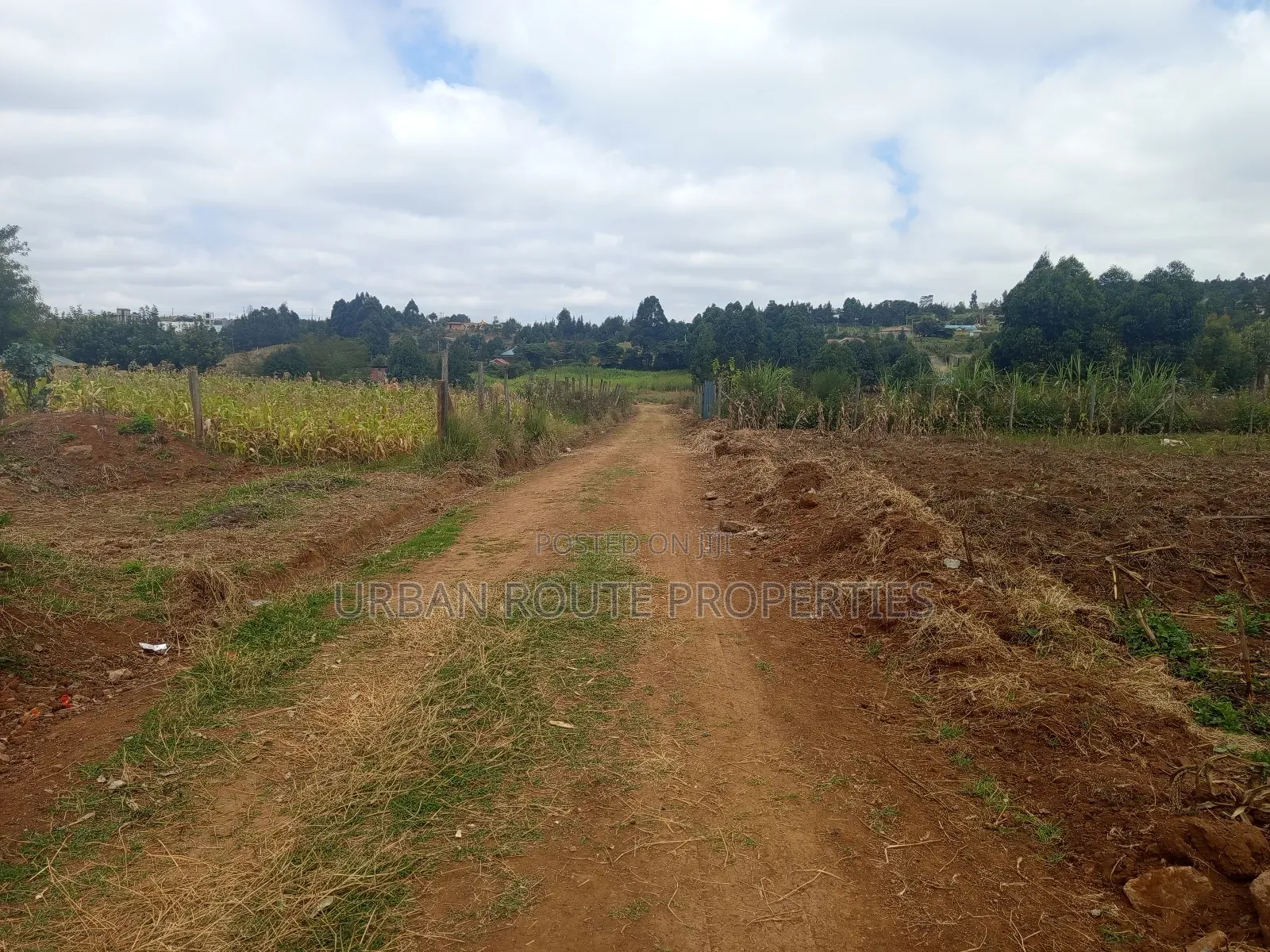 100*100 Plot for Sale in Thogoto