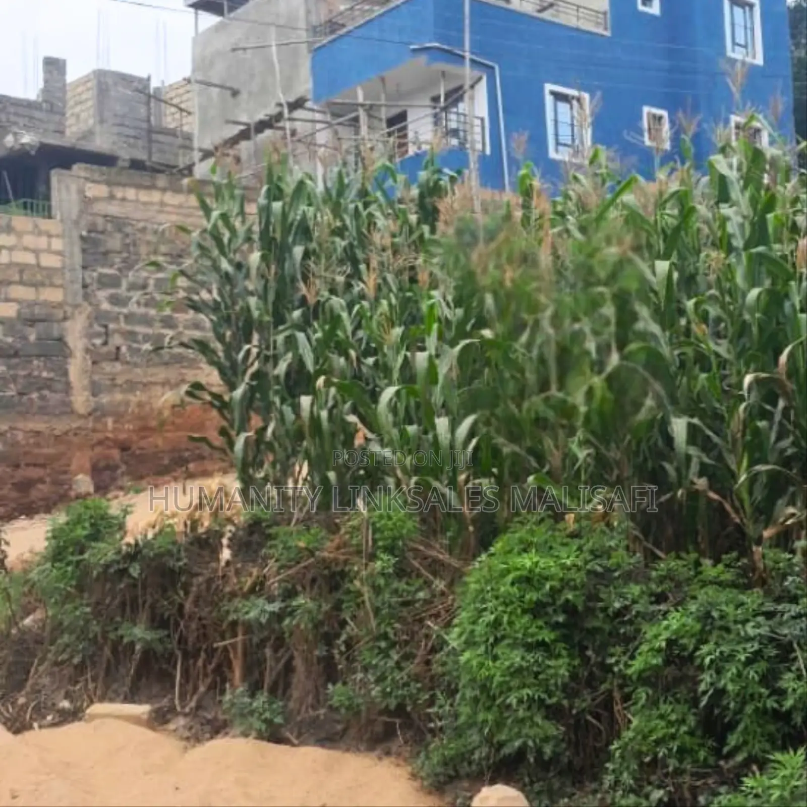 50 by 100 Land Plot in Kinoo With Ready Titledeed. Friendly Atmosphere in Kinoo