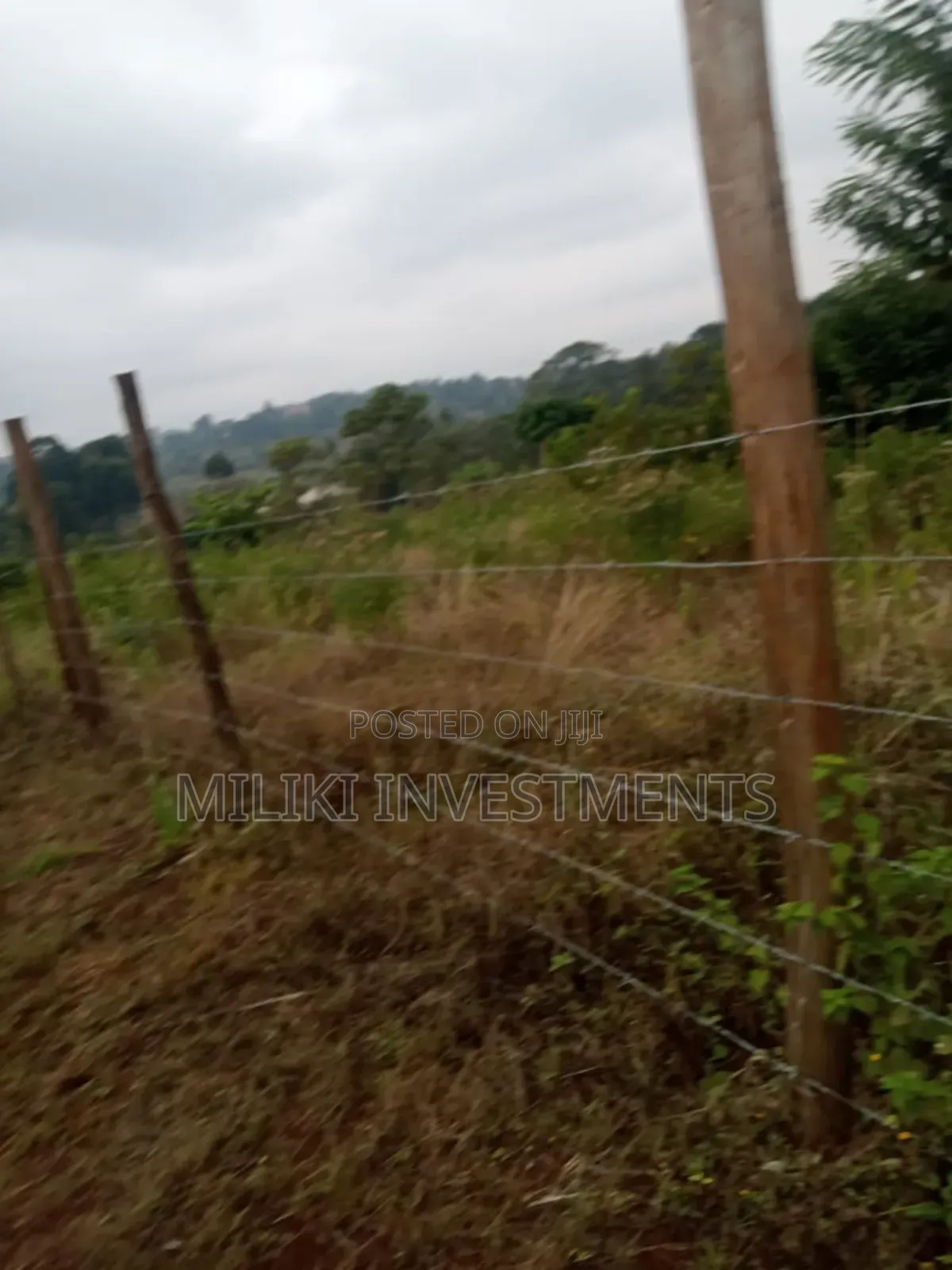 50 By100 Plots on Sale at Kenol-Riandegwa Area in Kimorori/Wempa