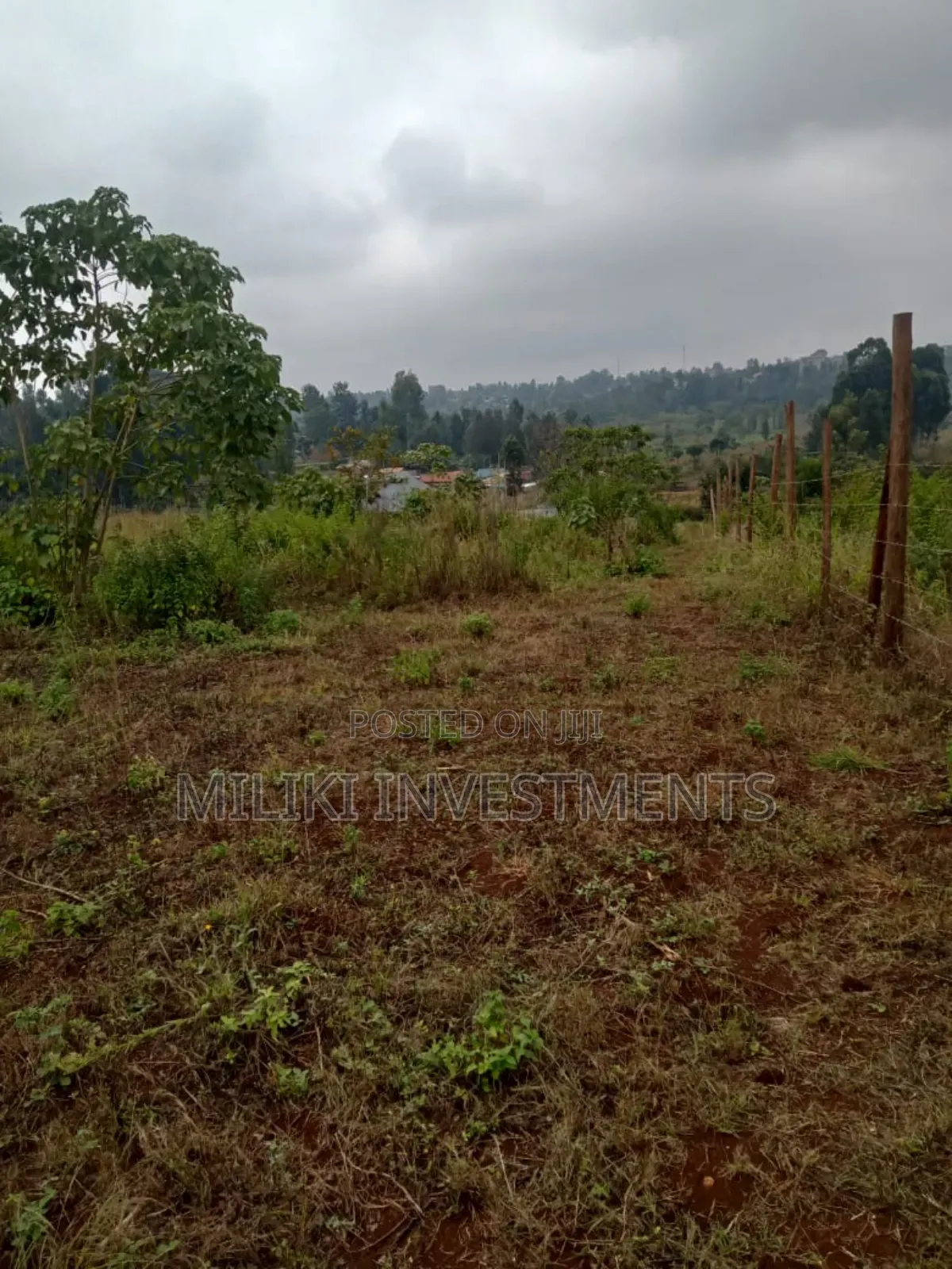 50 By100 Plots on Sale at Kenol-Riandegwa Area in Kimorori/Wempa