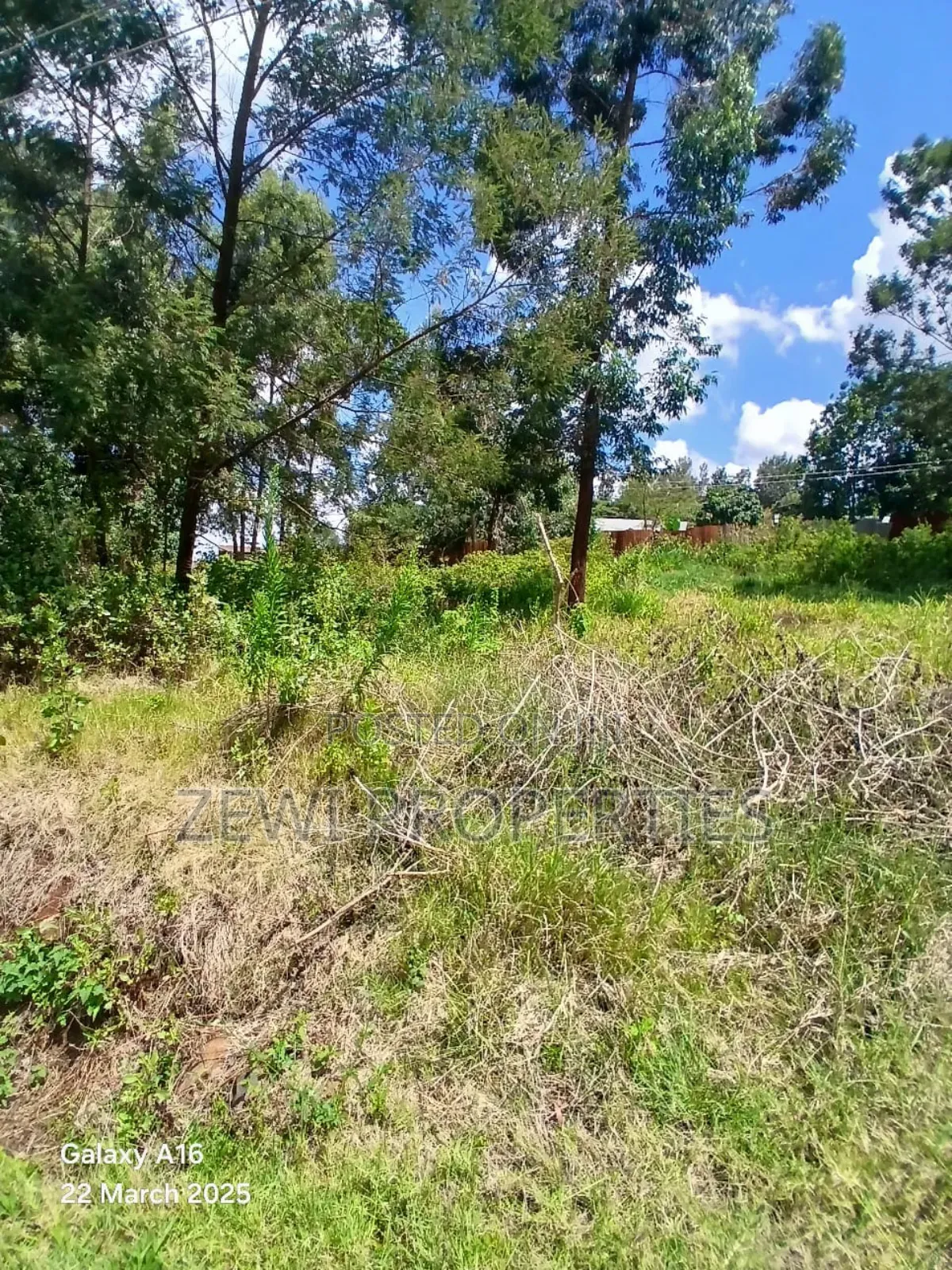 Quarter Acre Ngong in Ngong
