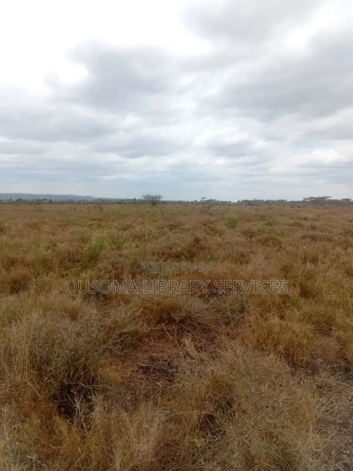 Scenic 5-Acre Farm in Kajiado Oloiyankalani, Retirement Home in Kajiado CBD