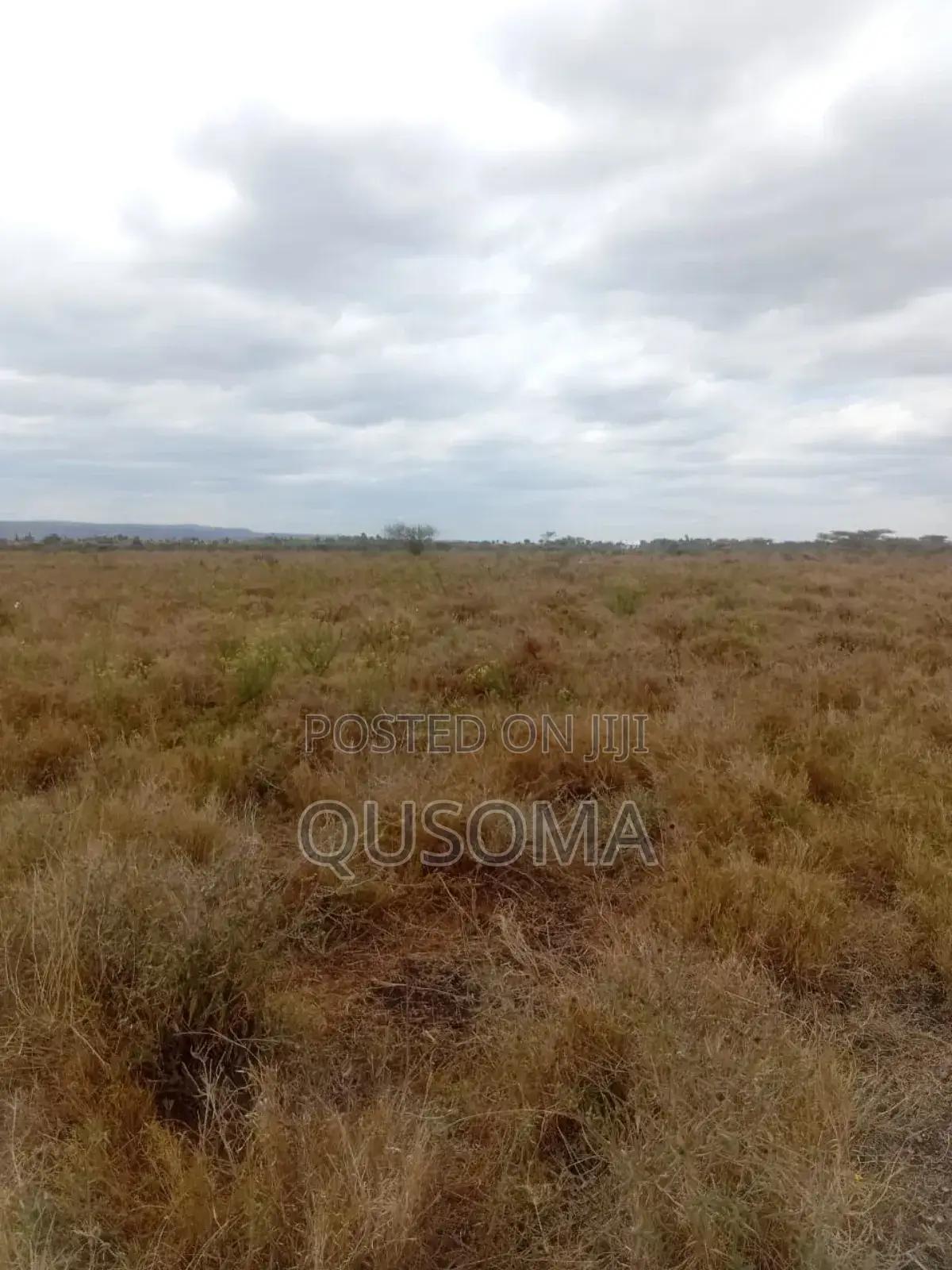 Scenic 5-Acre Farm in Kajiado Oloiyankalani, Retirement Home in Kajiado CBD