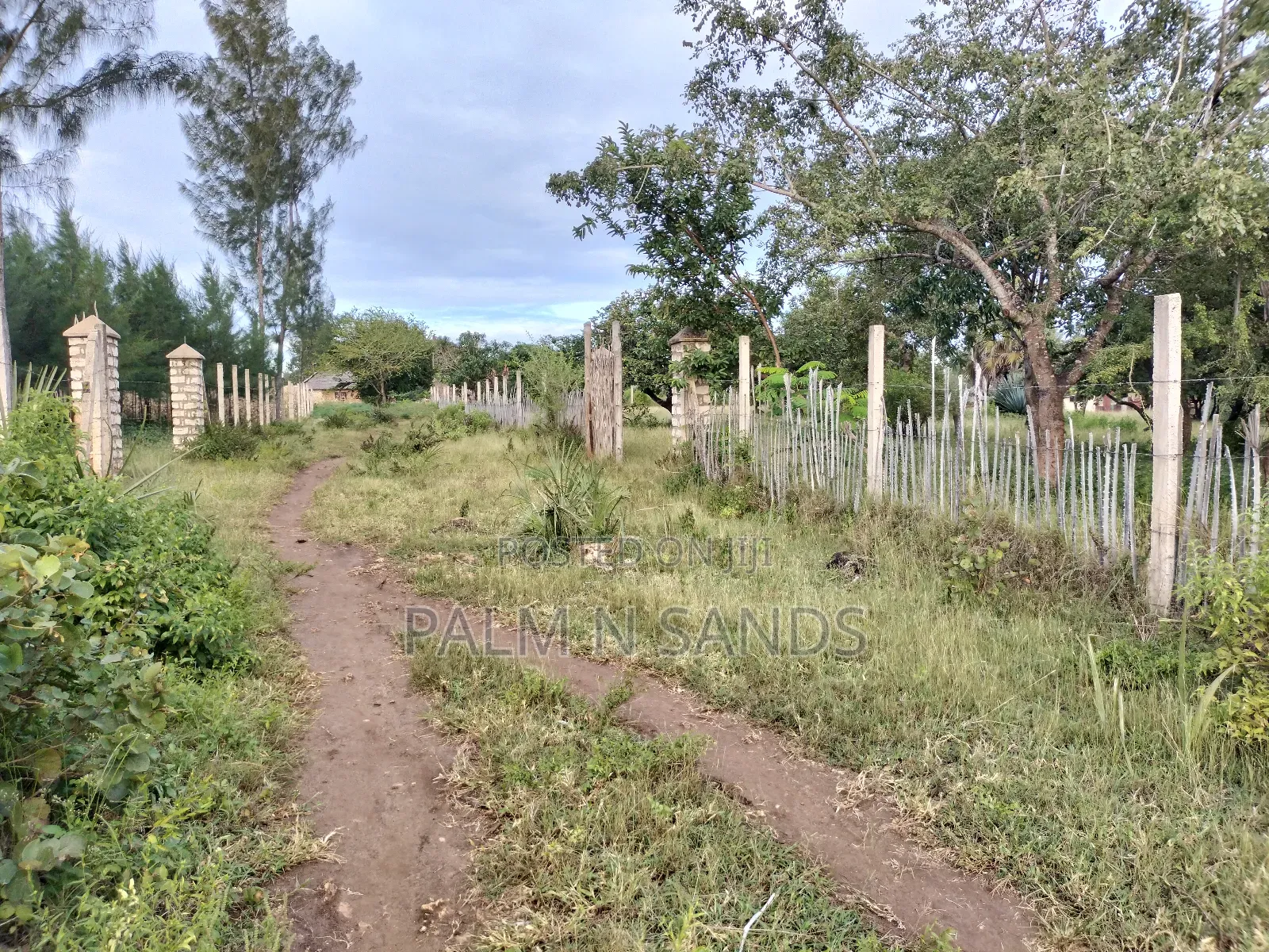 9 Acre Msambweni Beach Property in Ukunda