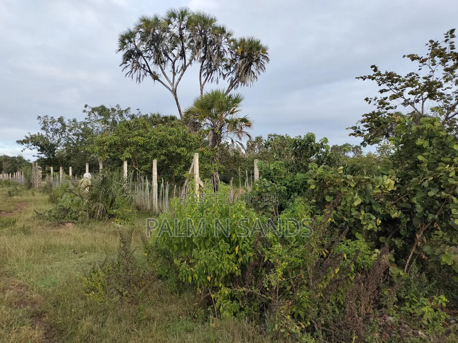 9 Acre Msambweni Beach Property in Ukunda
