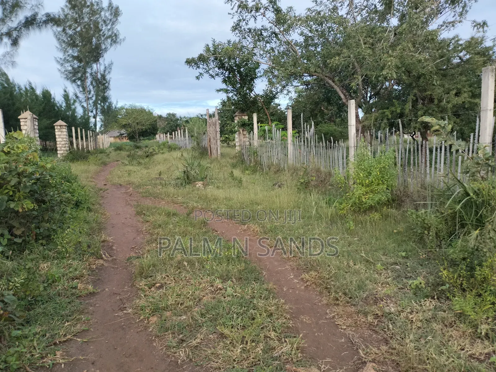 9 Acre Msambweni Beach Property in Ukunda
