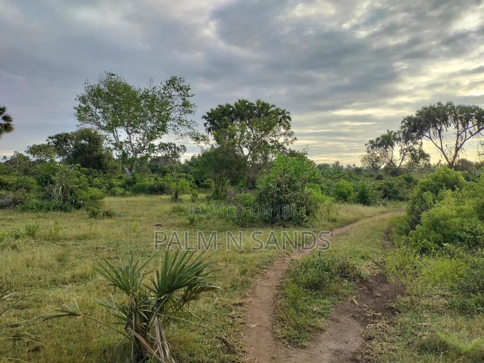 9 Acre Msambweni Beach Property in Ukunda