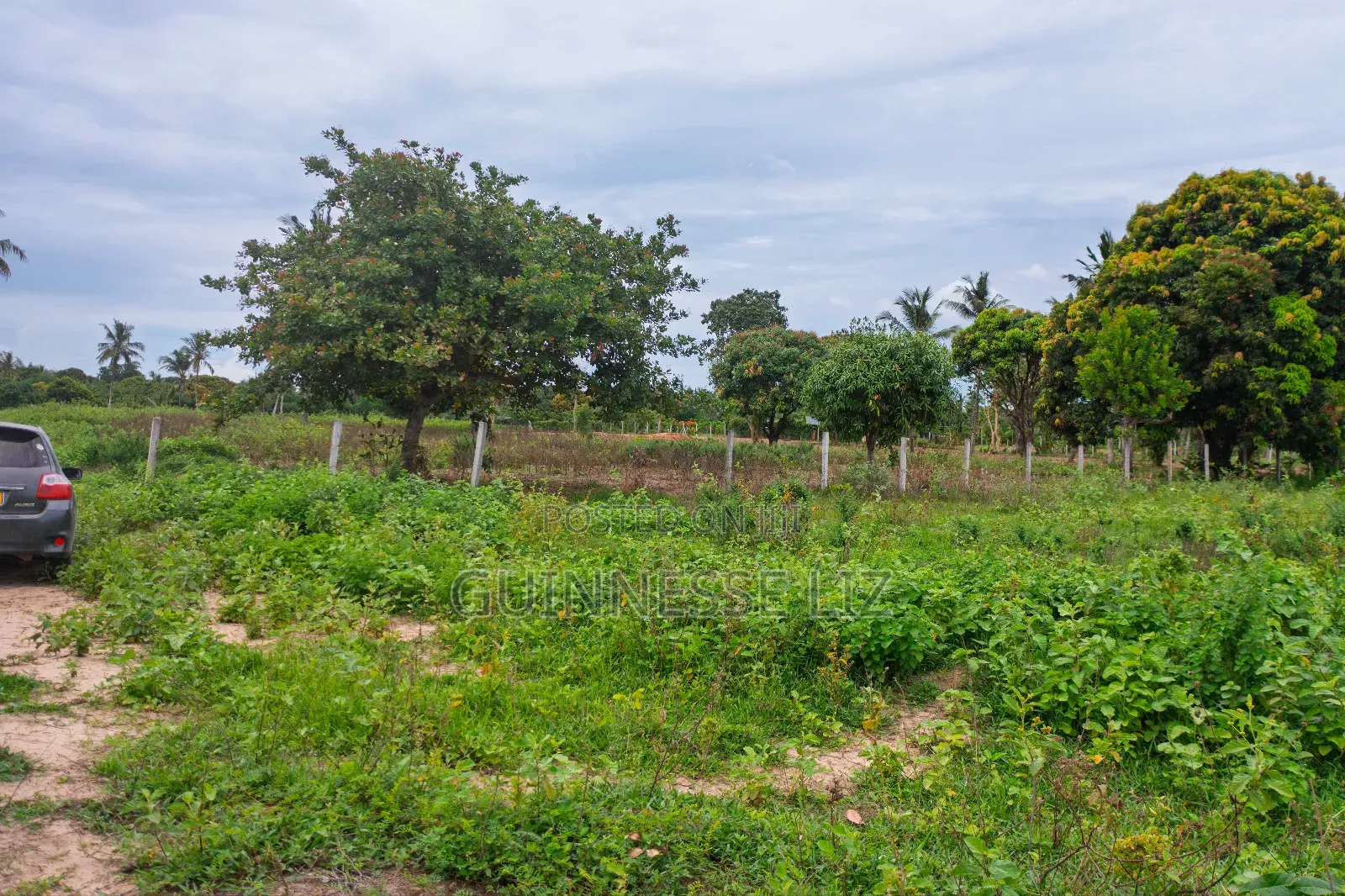 Prime Plots for Sale Kikambala (Kilifi County) in Town Centre