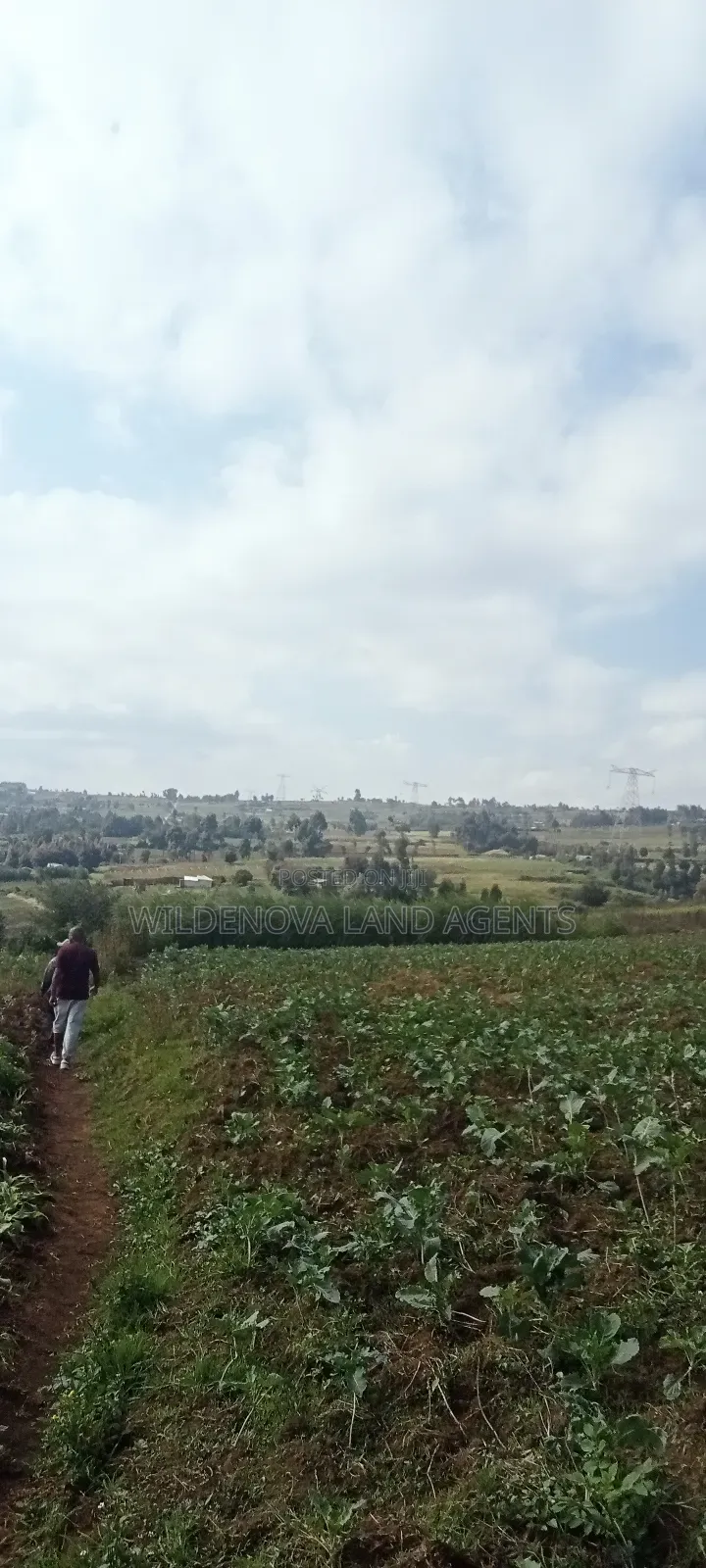 Land for Sale: Kahuho Flyover Naivasha - Discover Your Dream Property Today in Naivasha