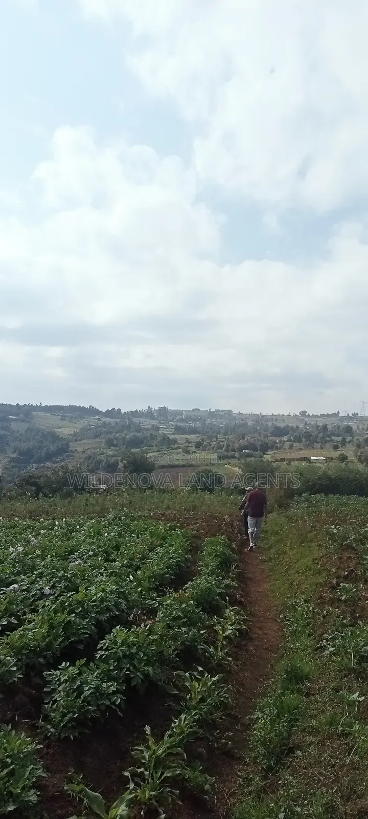 Land for Sale: Kahuho Flyover Naivasha - Discover Your Dream Property Today in Naivasha