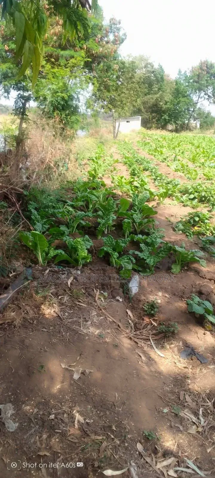 Fronting Athiriver 49 Acres -Kalawa Land for Sale in Machakos Town