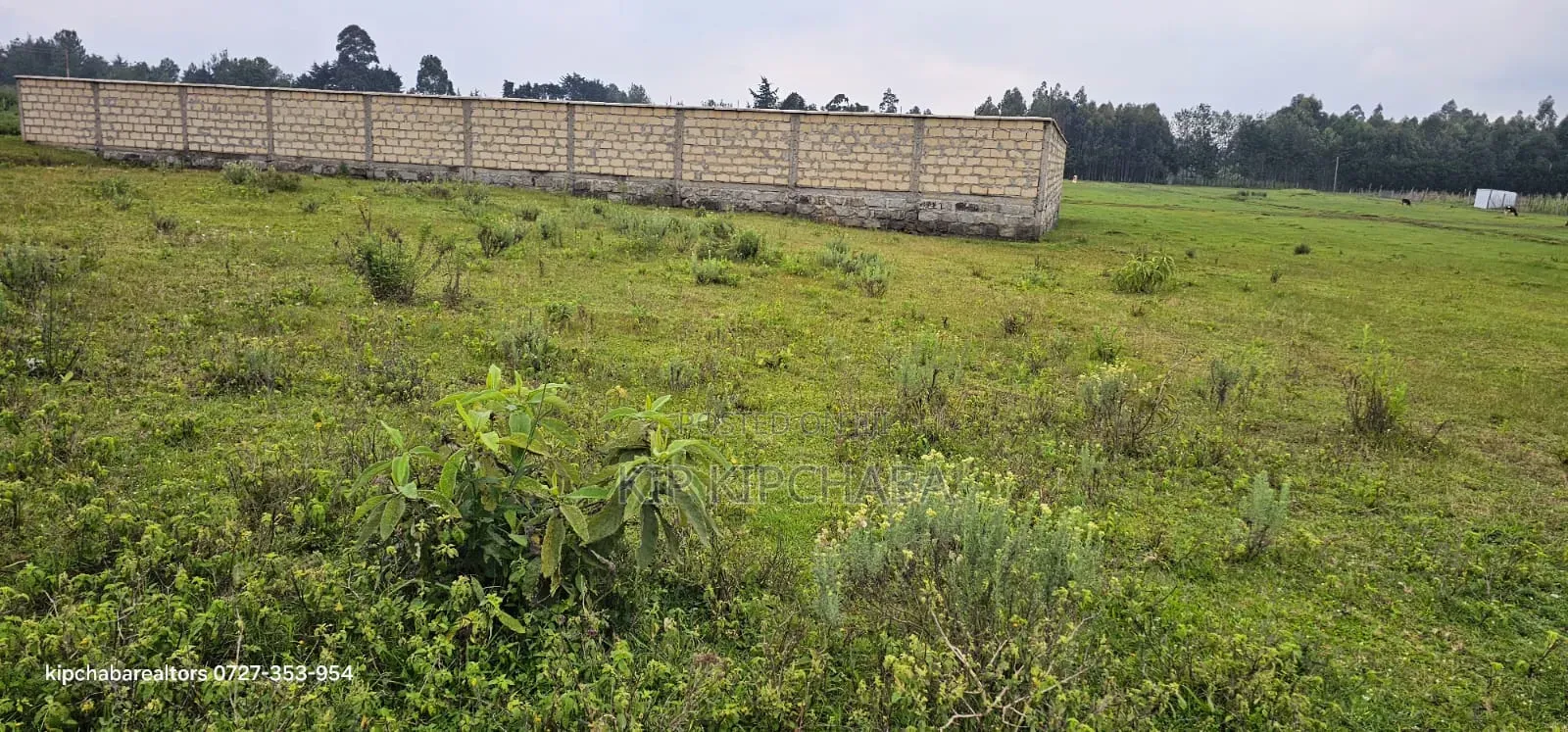 1⁄4 PLPT for Sale in Racecours Eldoret in Racecourse