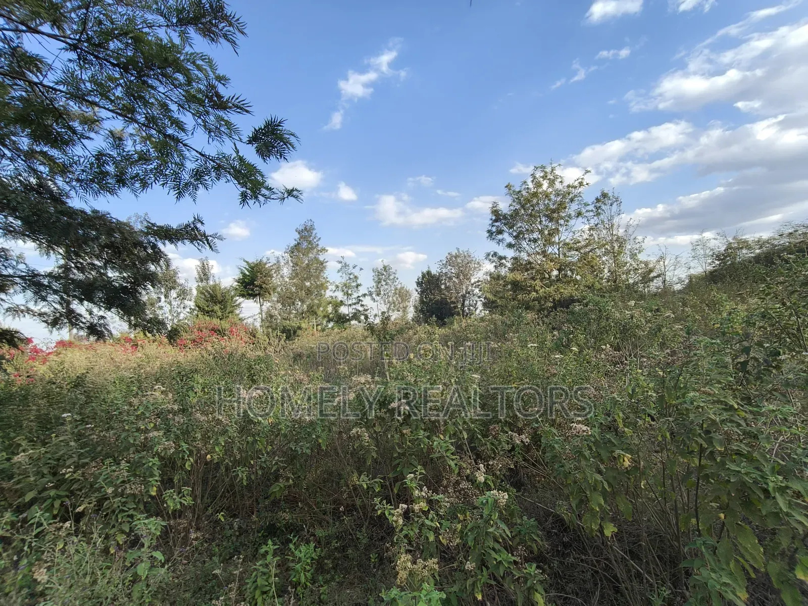 6-Acre Piece of Land Is on Sale in Kiserian Touching the Main Road in Kiserian