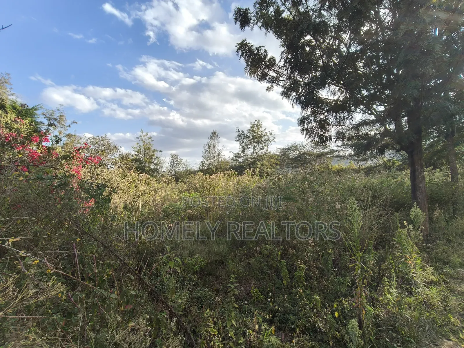 6-Acre Piece of Land Is on Sale in Kiserian Touching the Main Road in Kiserian