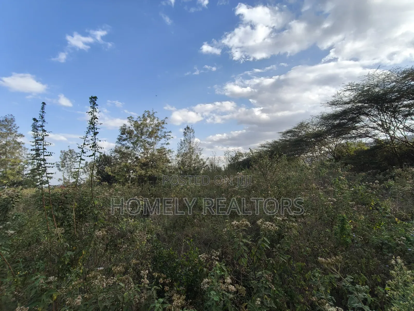 6-Acre Piece of Land Is on Sale in Kiserian Touching the Main Road in Kiserian