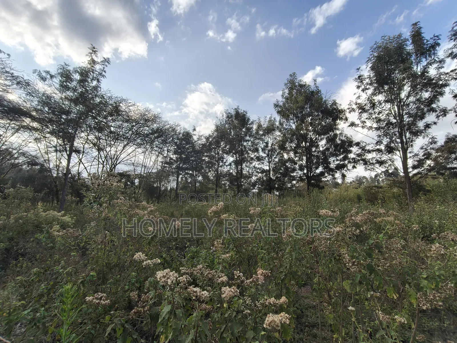 6-Acre Piece of Land Is on Sale in Kiserian Touching the Main Road in Kiserian